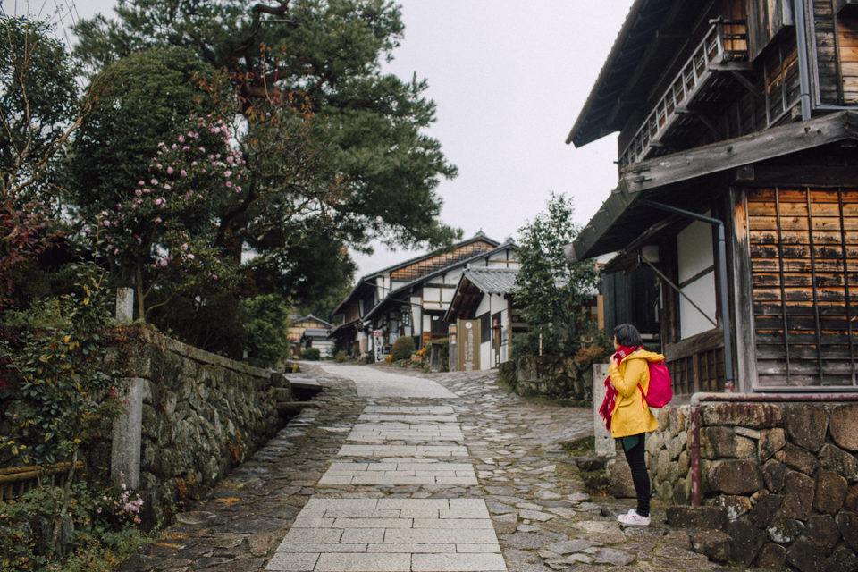 Magome - The cat, you and us