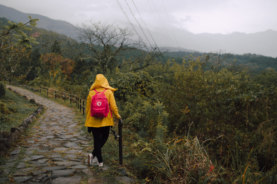 Nakasendo trail - The cat, you and us