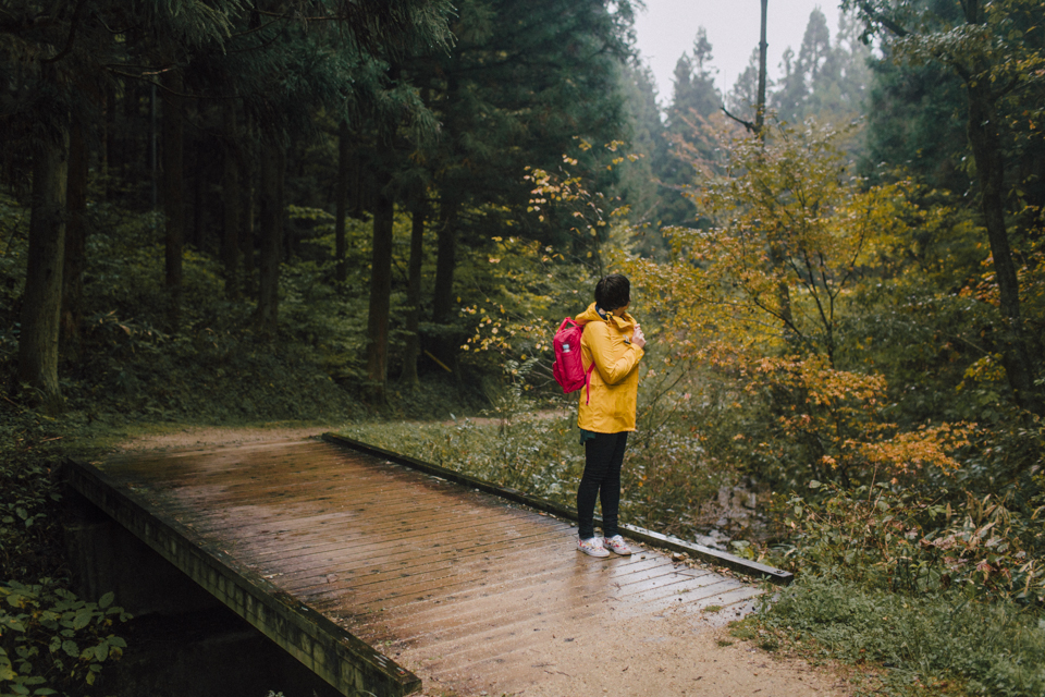 Nakasendo trail - The cat, you and us