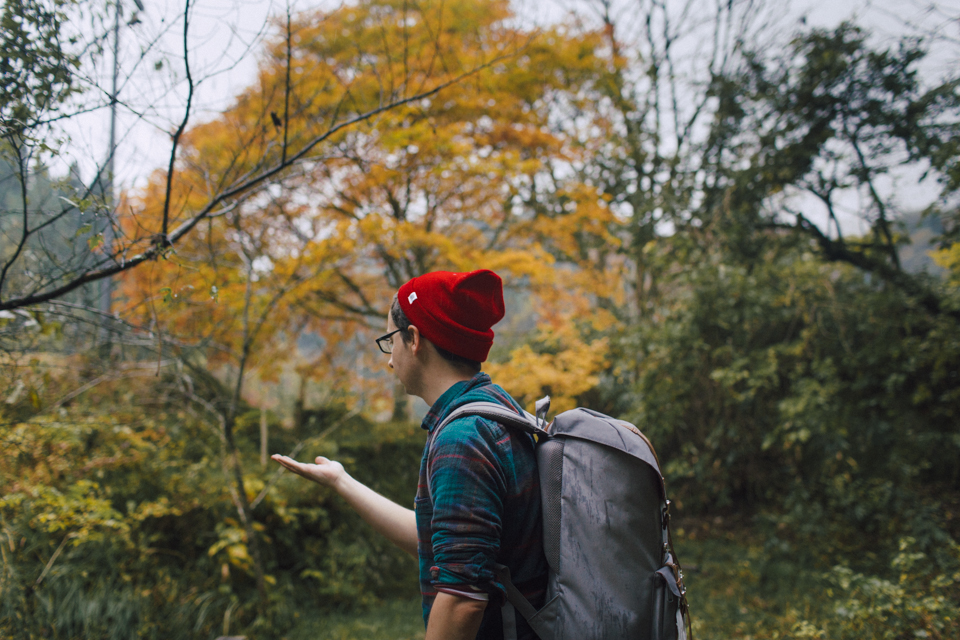 Nakasendo trail - The cat, you and us