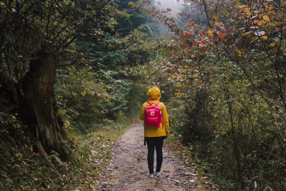 Nakasendo trail - The cat, you and us