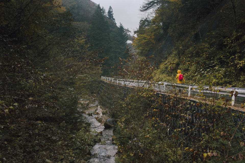 Nakasendo trail - The cat, you and us