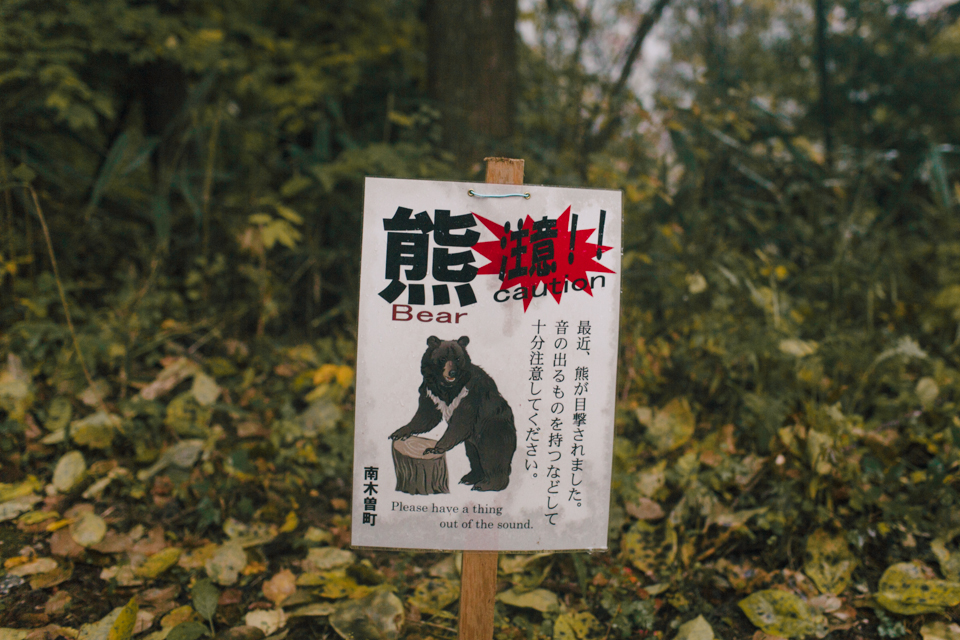 Nakasendo trail - The cat, you and us