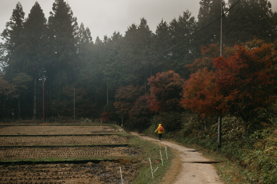 Nakasendo trail - The cat, you and us