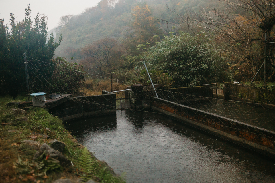 Nakasendo trail - The cat, you and us