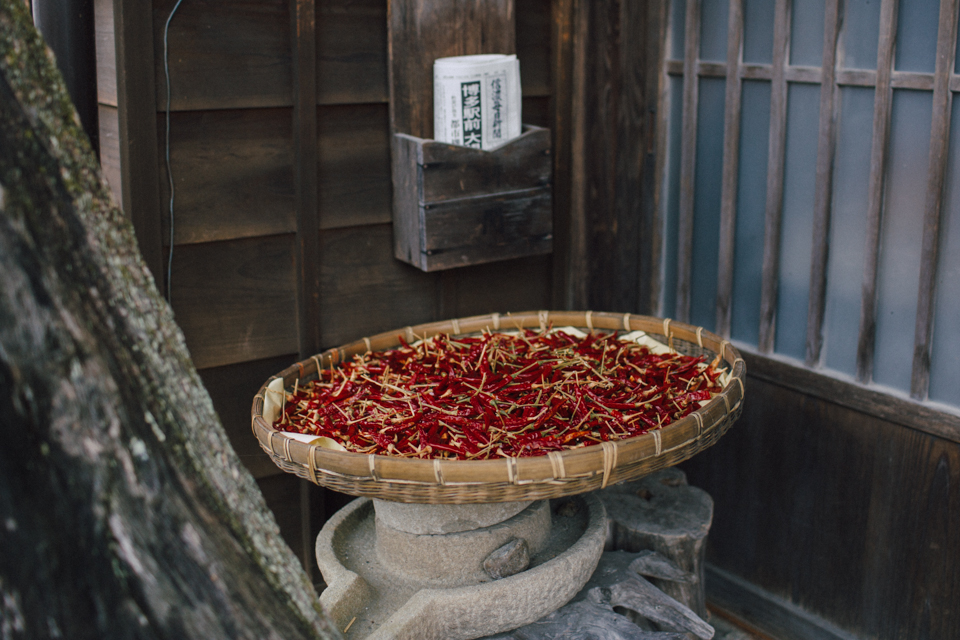 Chili drying - The cat, you and us