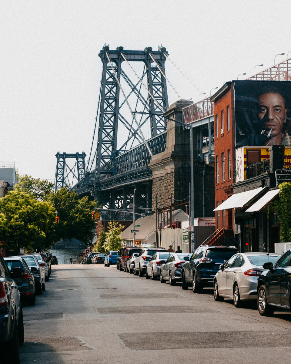 Williamsburg bridge - The cat, you and us