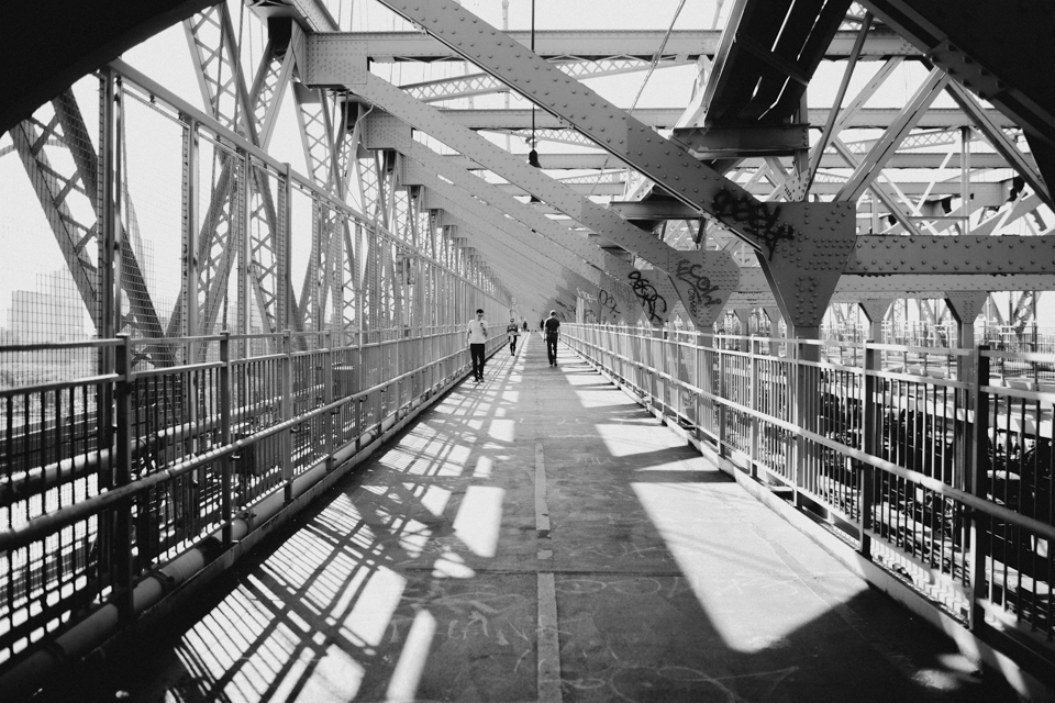 Williamsburg bridge - The cat, you and us