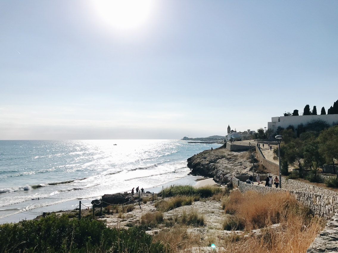 Sitges coastal town - The cat, you and us