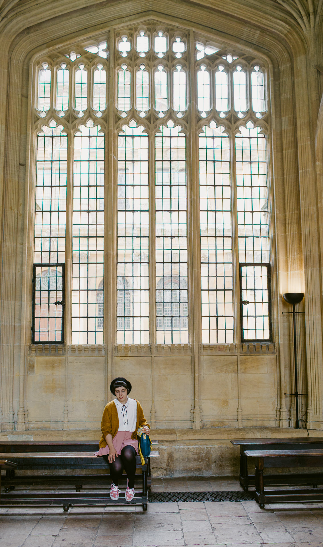 Bodleian Library Divinity School - The cat, you and us