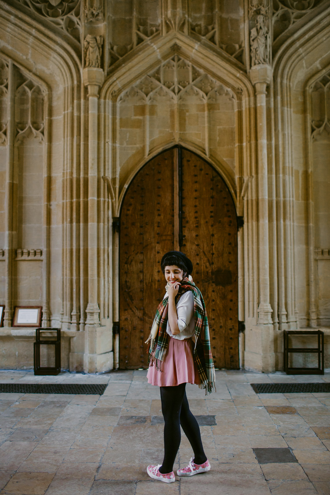 Bodleian Library Divinity School - The cat, you and us