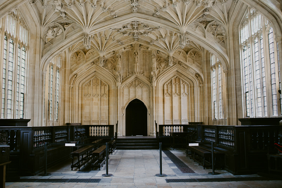 Bodleian Library Divinity School - The cat, you and us