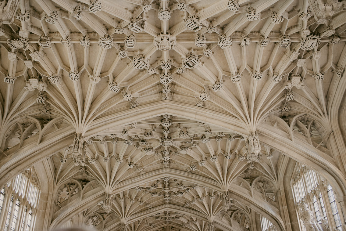 Bodleian Library Divinity School - The cat, you and us