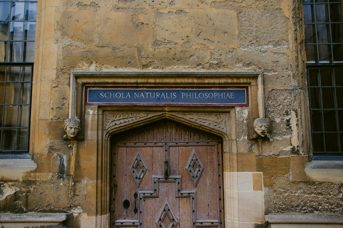 Bodleian Library Divinity School - The cat, you and us