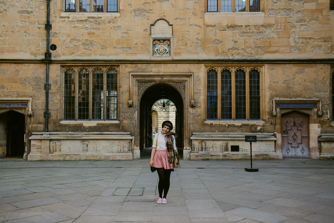 Bodleian Library Divinity School - The cat, you and us