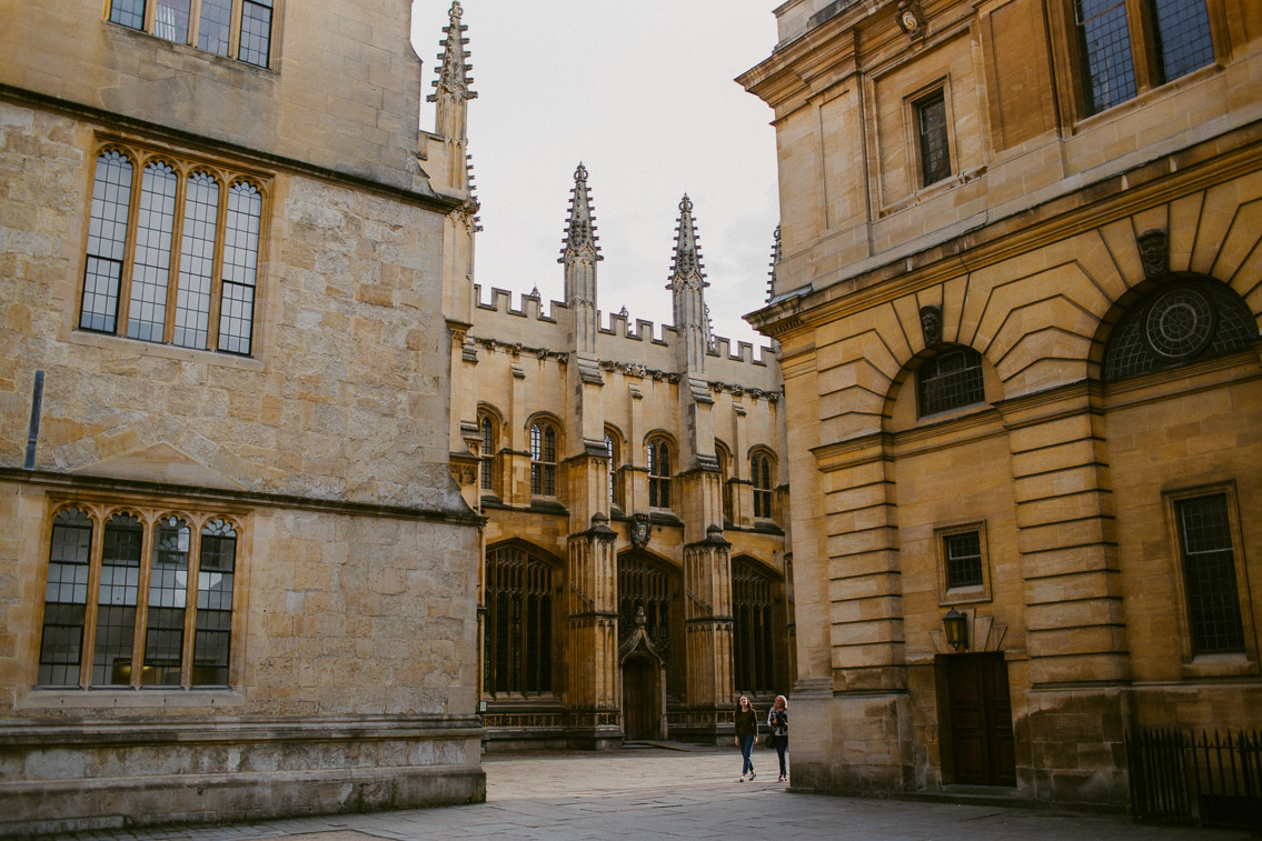 Bodleian Library Divinity School - The cat, you and us