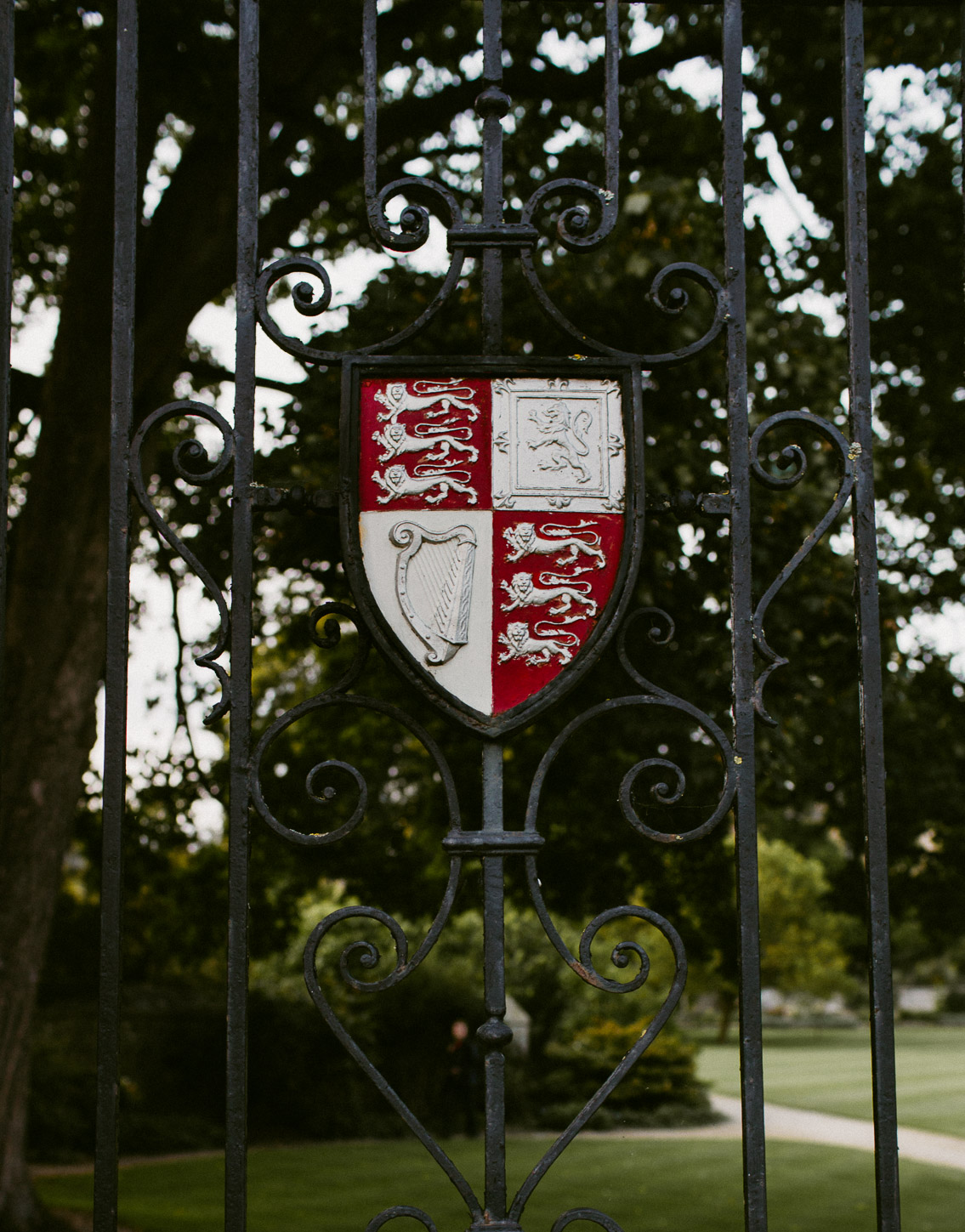 Christ Church College - The cat, you and us