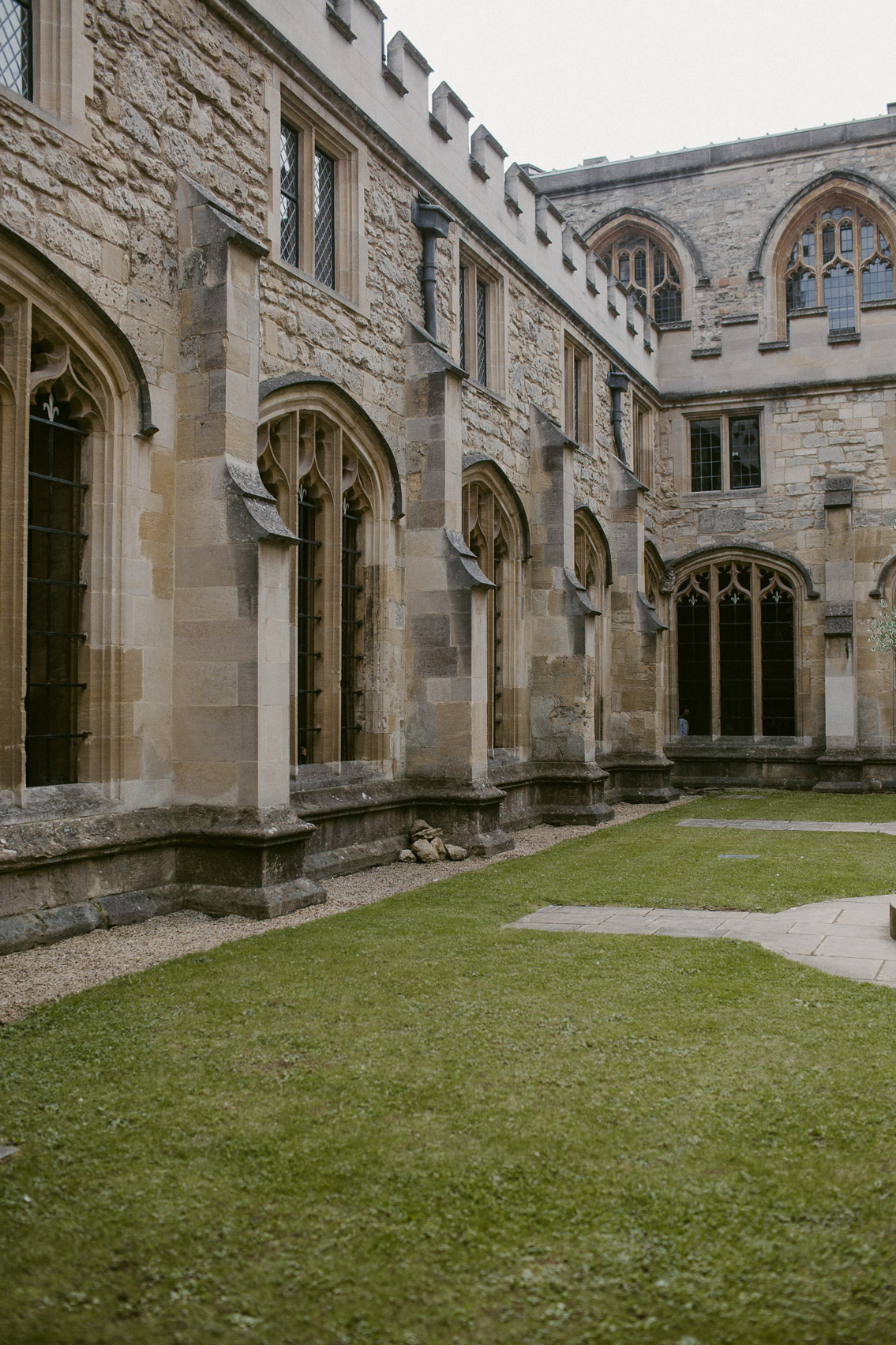 Christ Church College - The cat, you and us