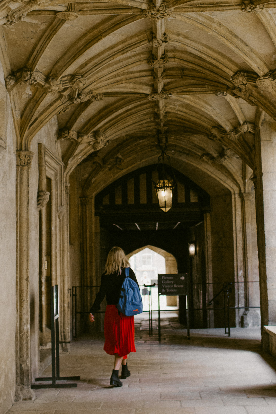 Christ Church College - The cat, you and us