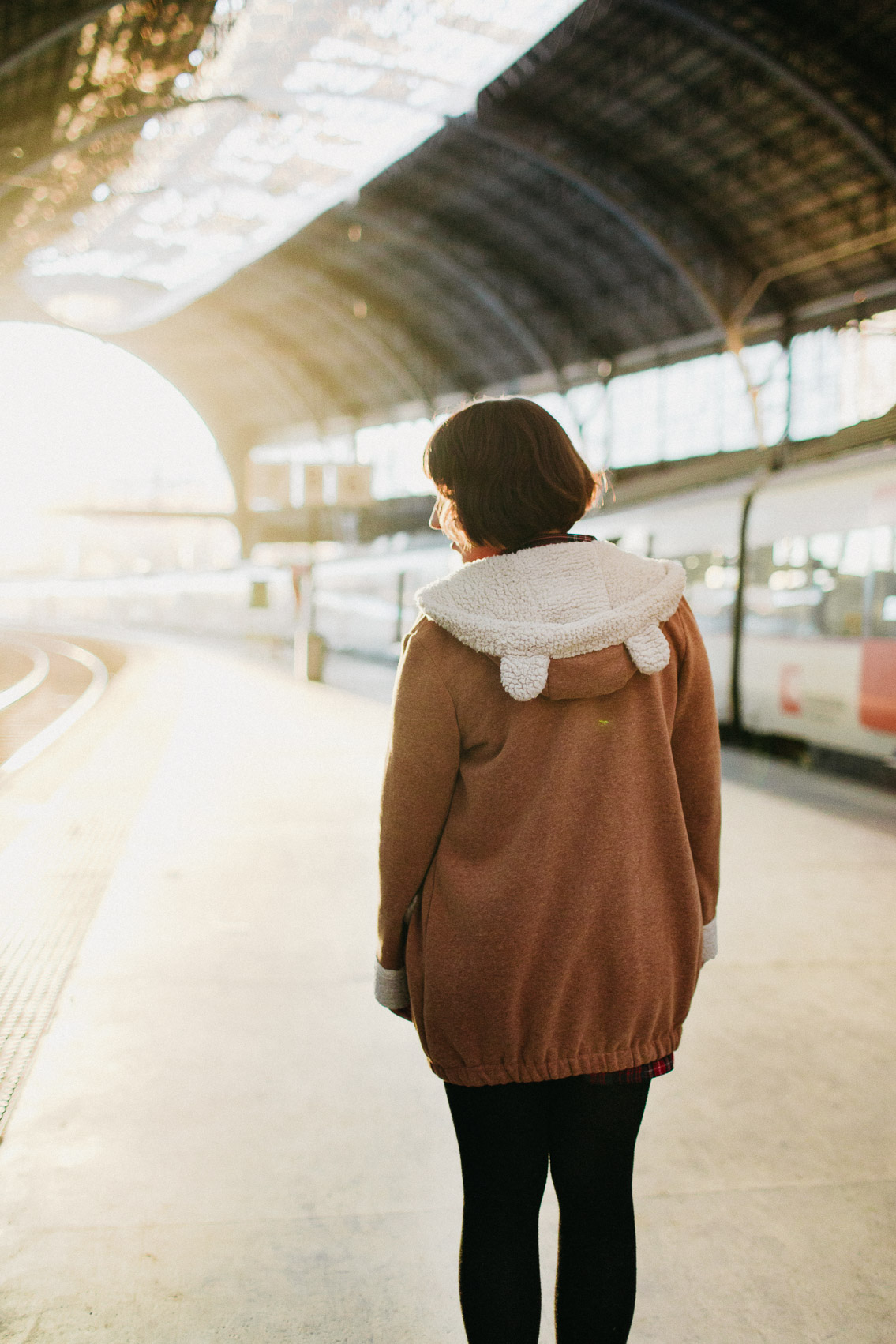 Train to New Year - The cat, you and us