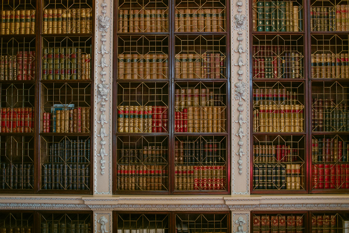 Blenheim palace rooms - The cat, you and us