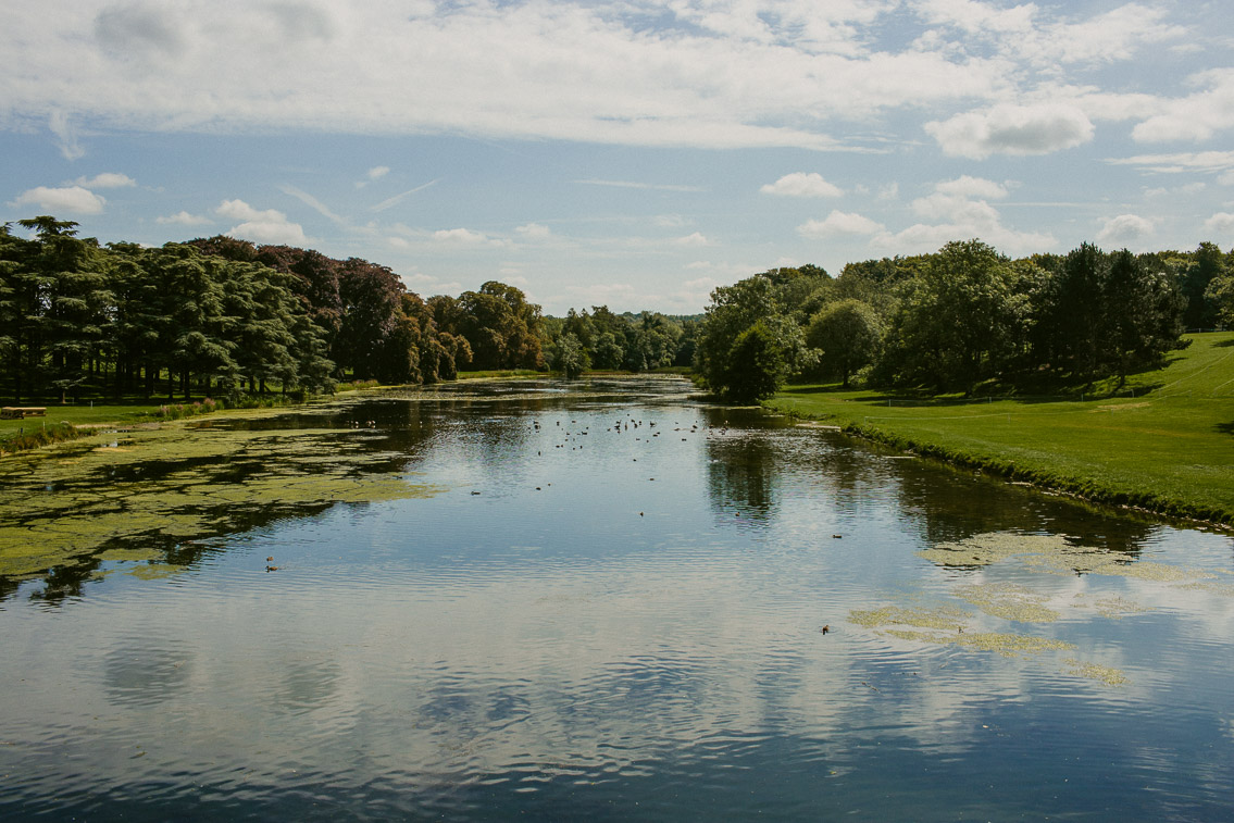 Blenheim palace park - The cat, you and us