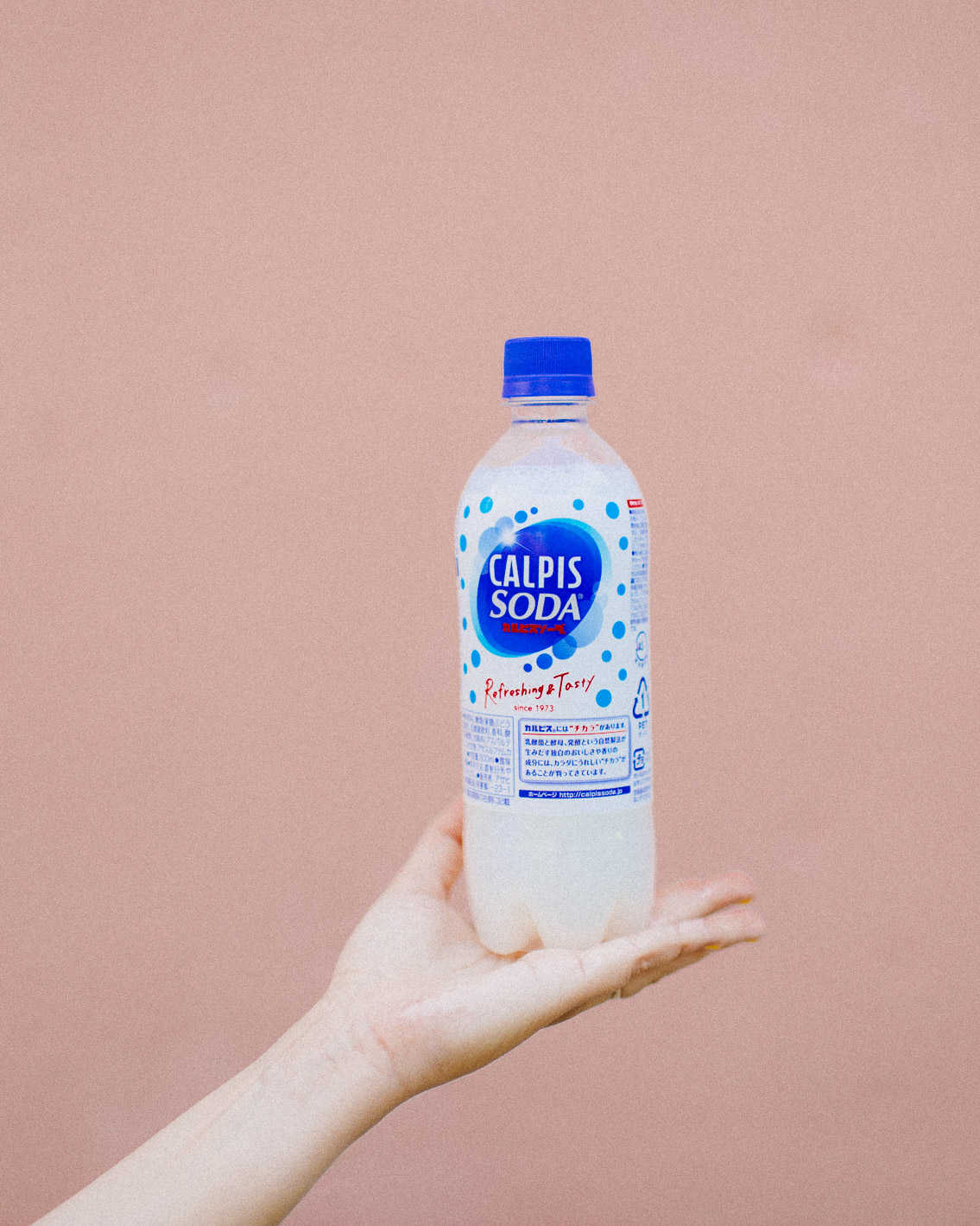 Calpis soda - The cat, you and us