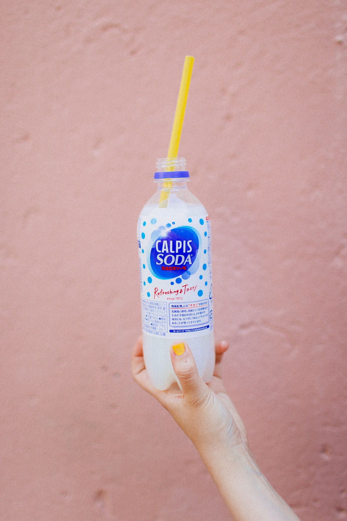 Calpis soda - The cat, you and us