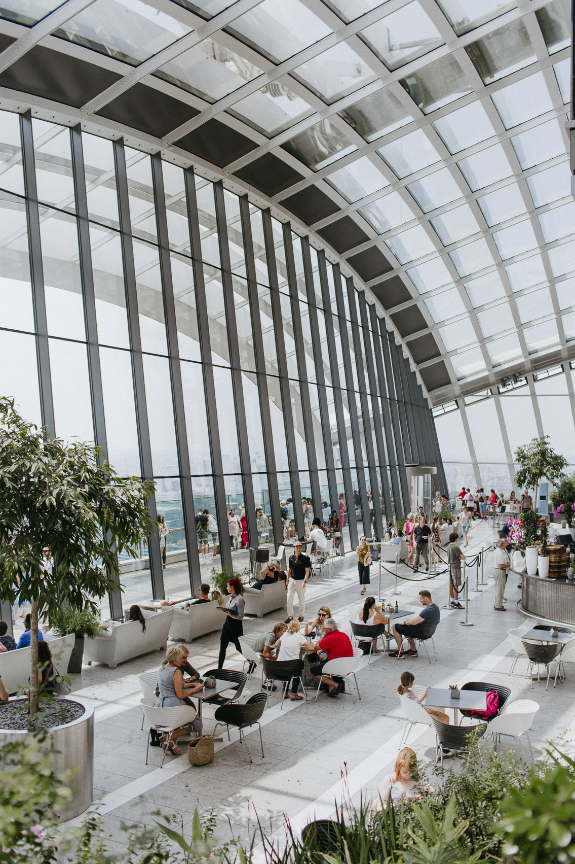 Sky Garden London - The cat, you and us