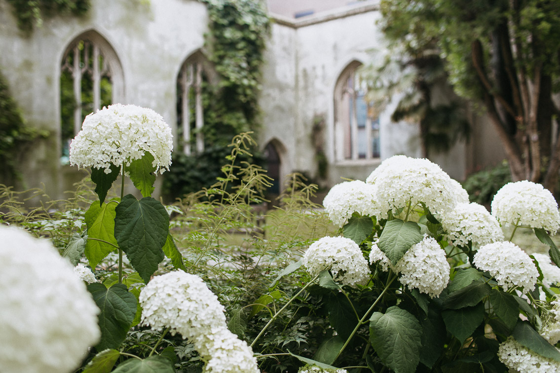 St. Dunstan in the East - The cat, you and us