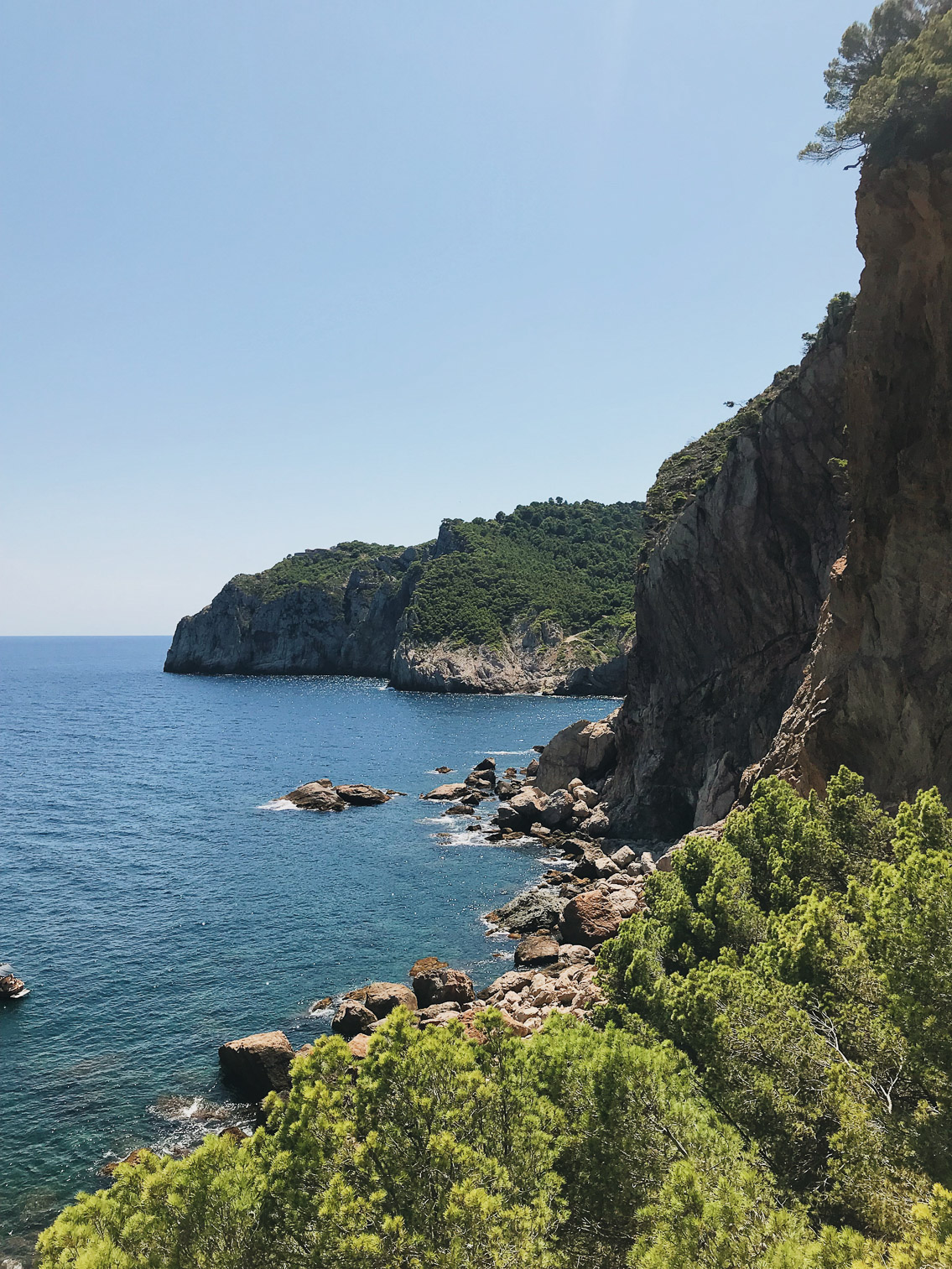 Costa Brava - The cat, you and us