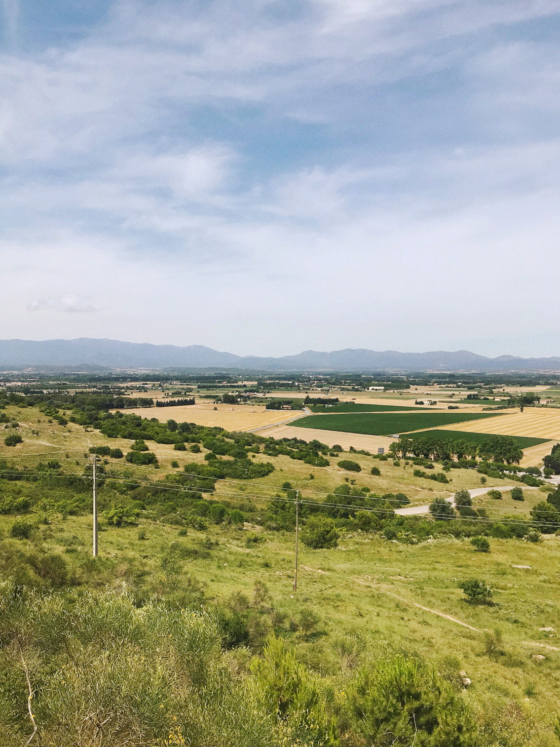 Empordà views - The cat, you and us