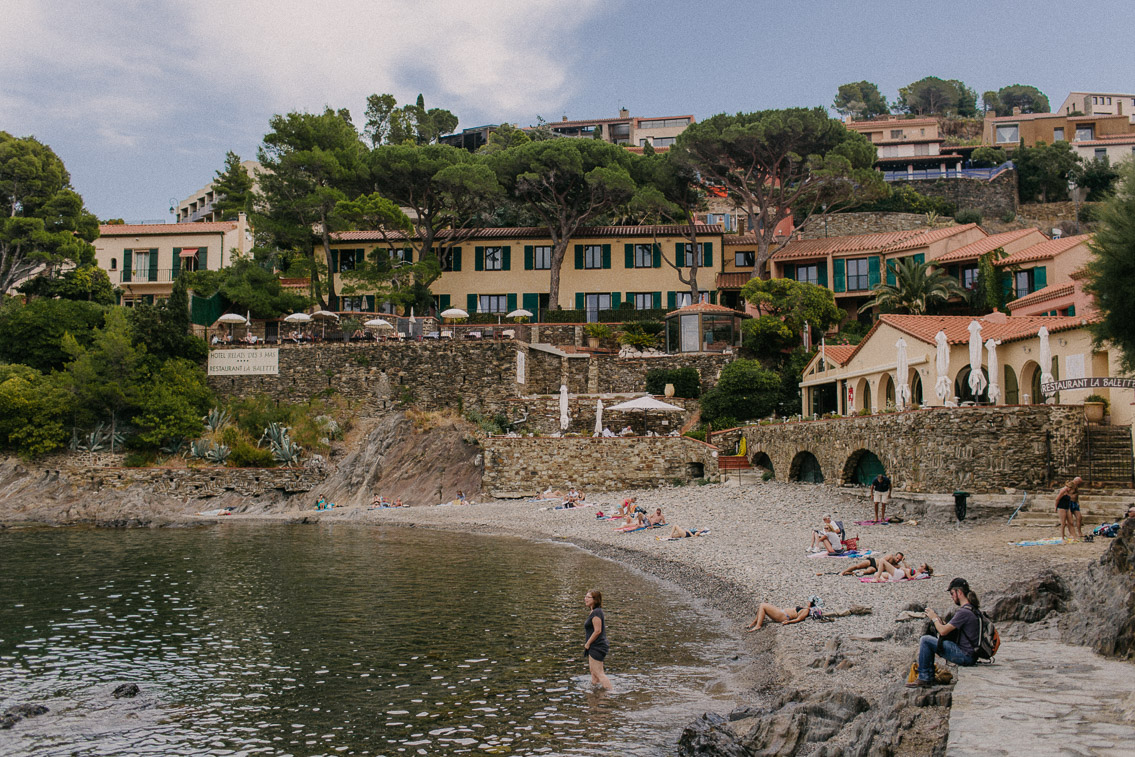 Le relais du trois mas Collioure - The cat, you and us