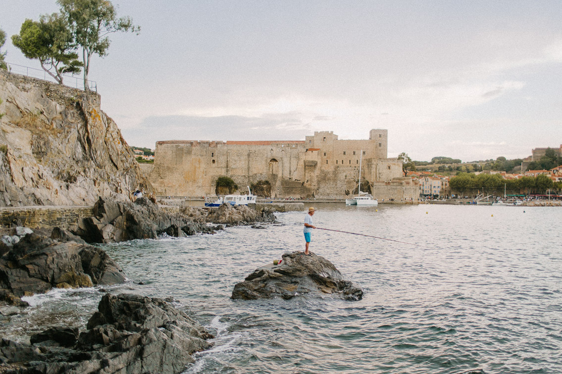 Collioure seaside - The cat, you and us