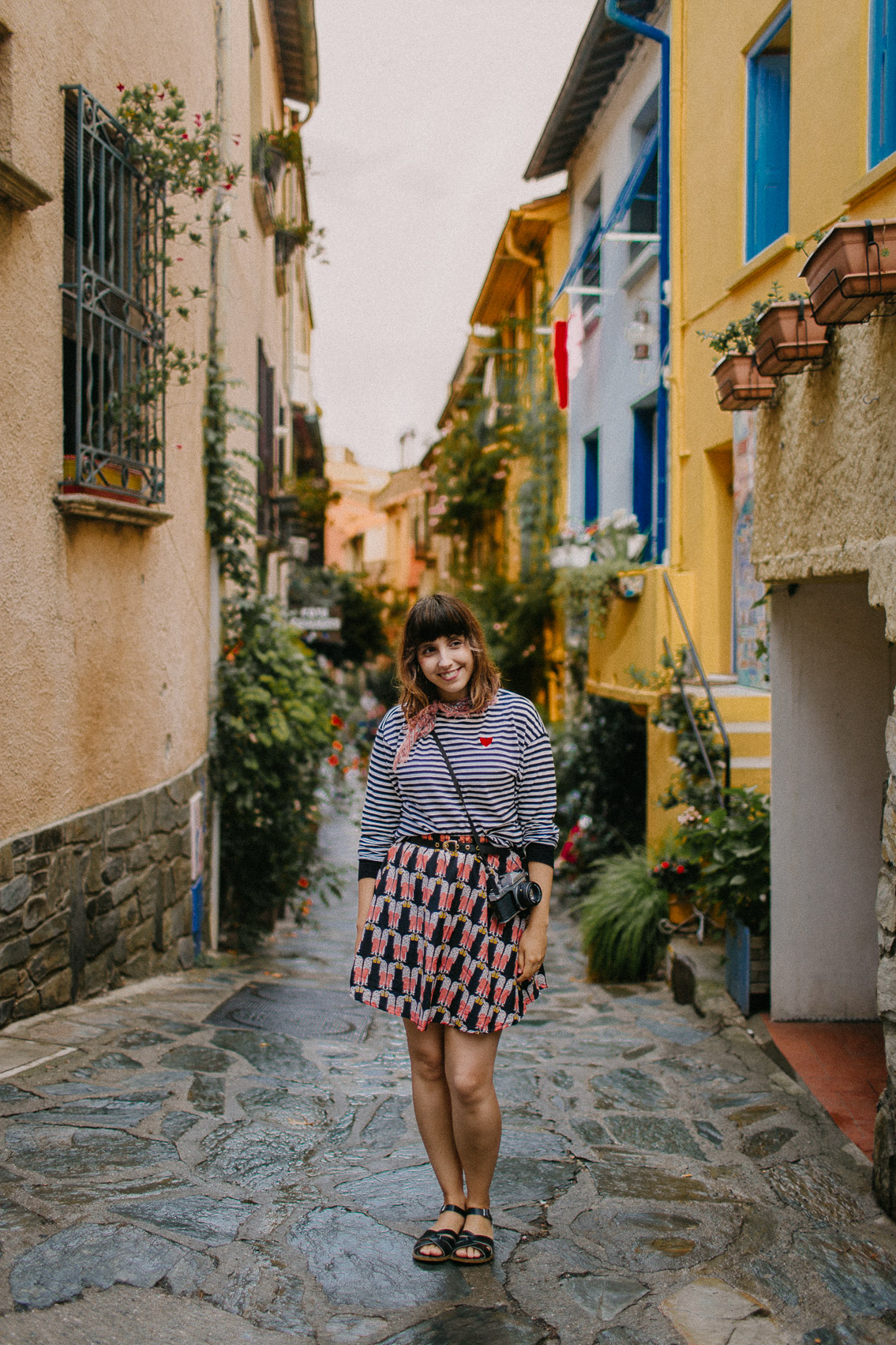 Collioure colorful houses - The cat, you and us