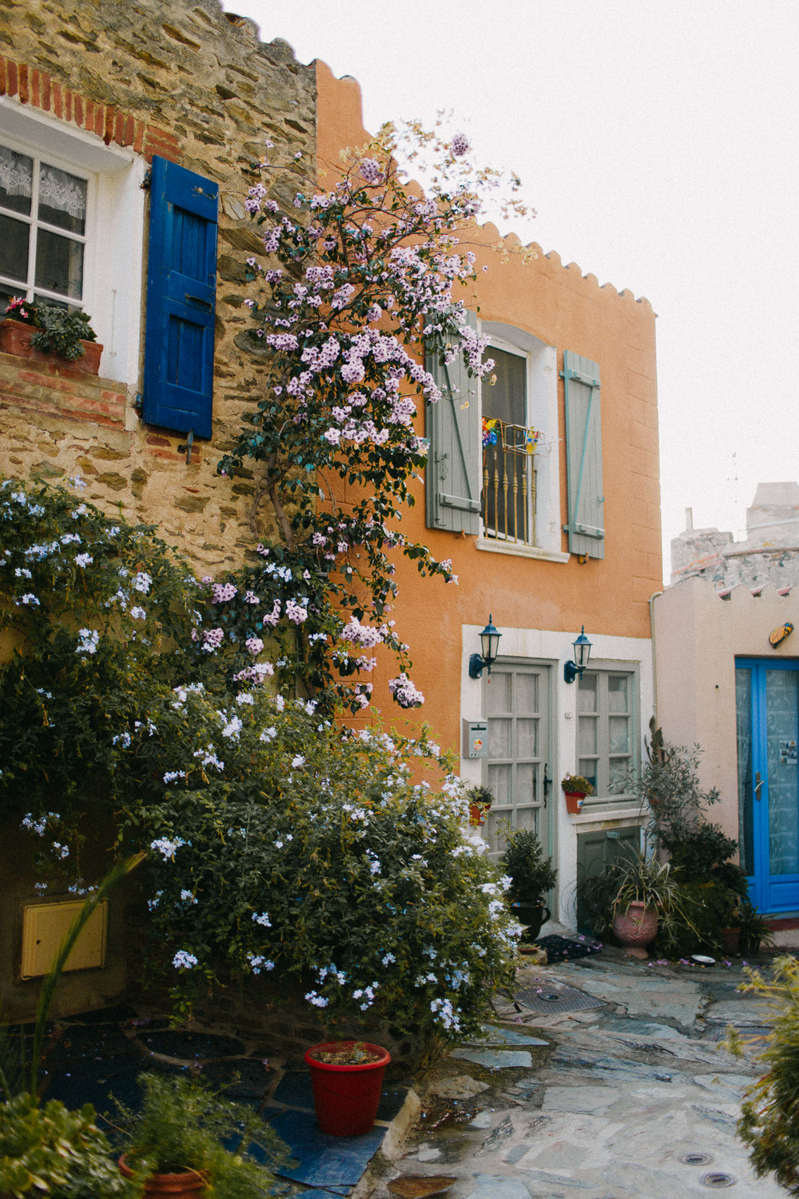 Collioure colorful houses - The cat, you and us