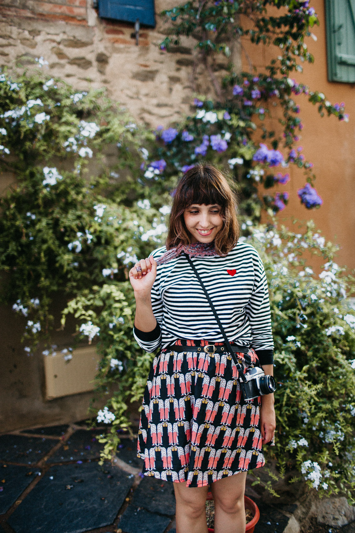 Collioure flowers - The cat, you and us