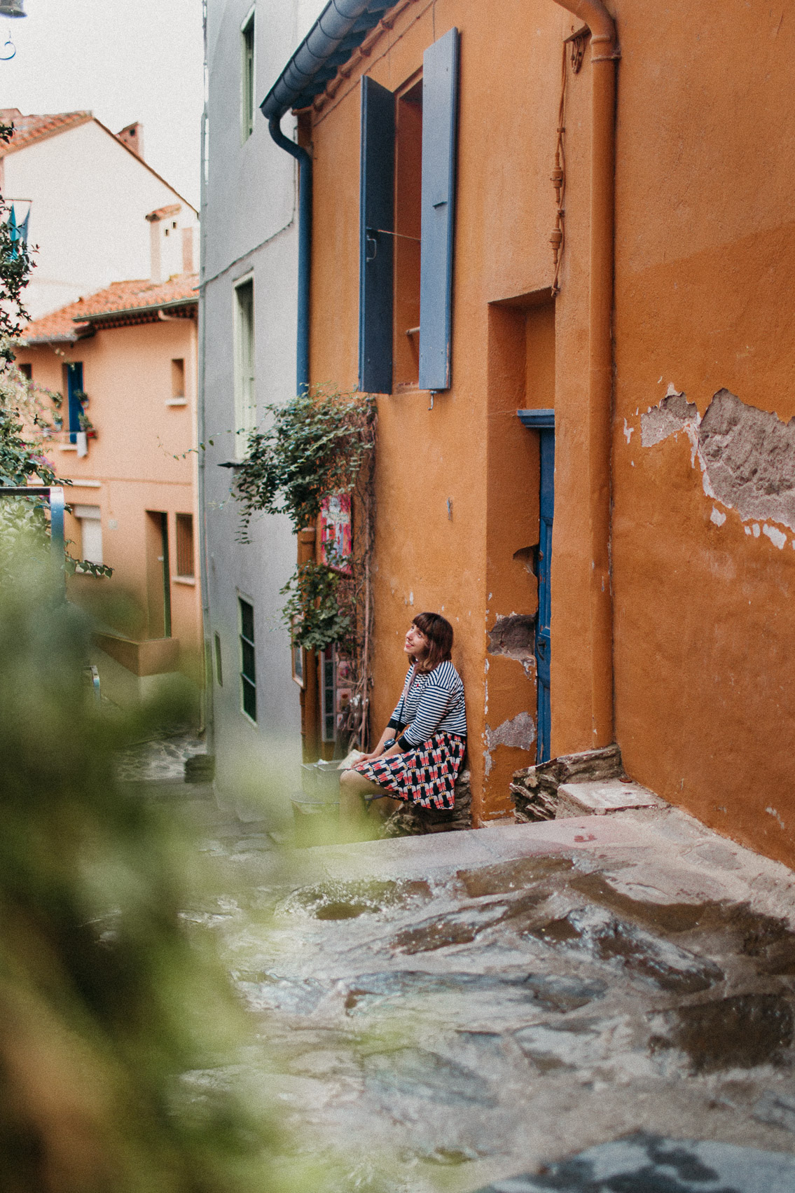 Collioure colorful houses - The cat, you and us