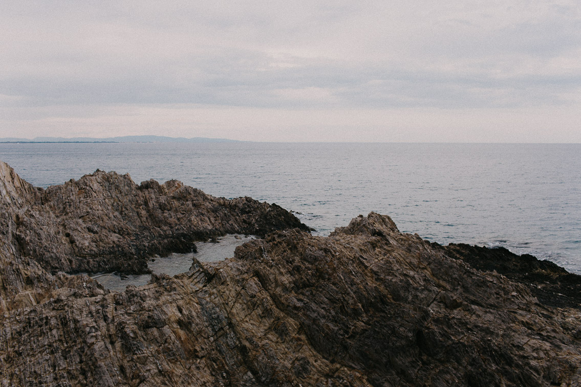 Collioure seaside - The cat, you and us