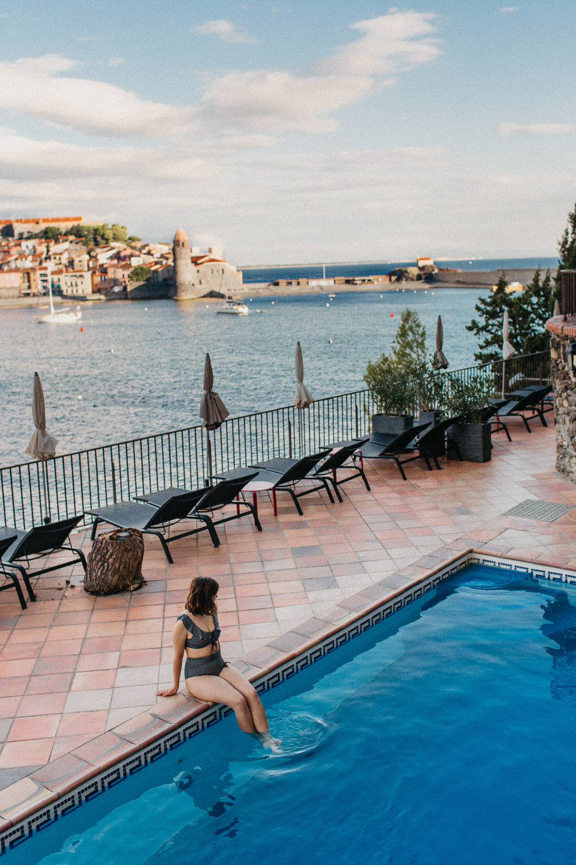 Le relais du trois mas Collioure - The cat, you and us