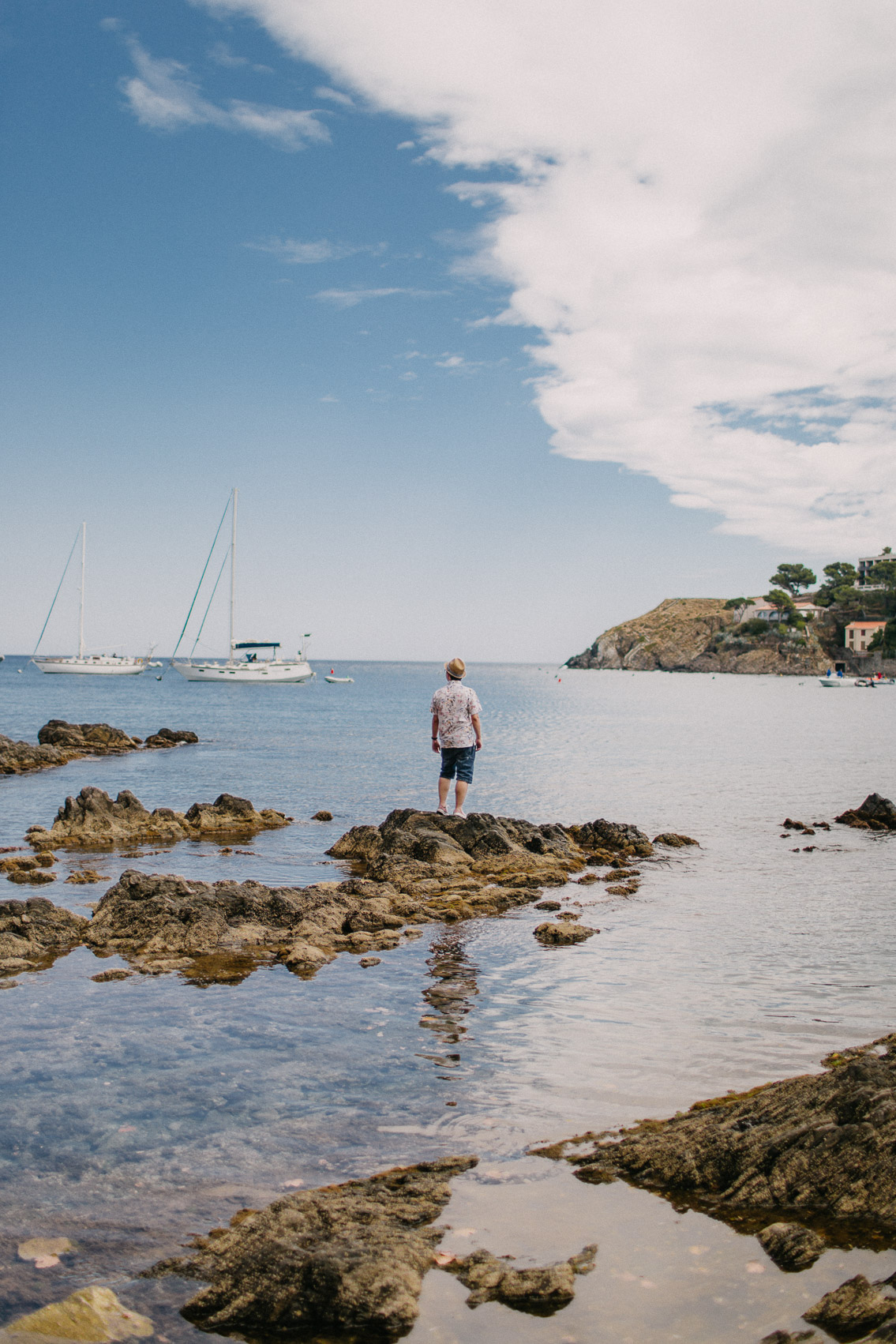 Collioure seaside - The cat, you and us