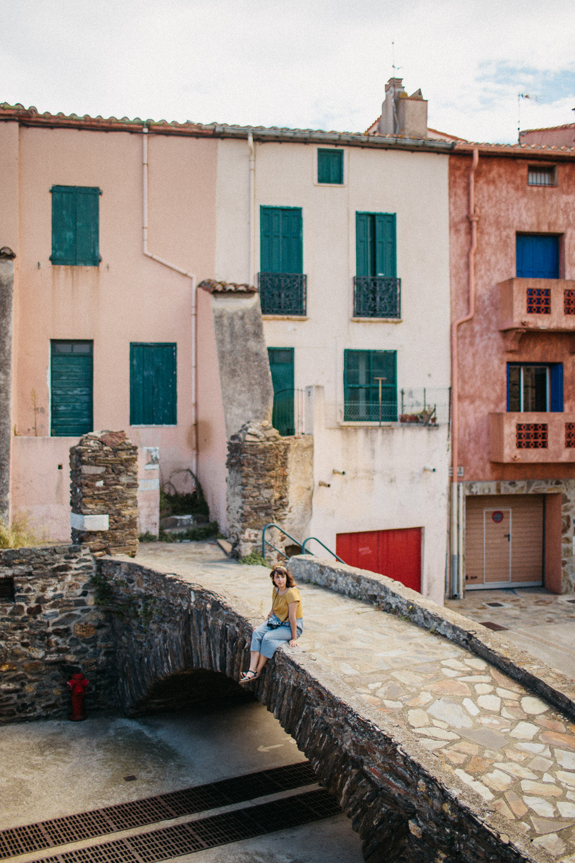 Collioure colorful houses - The cat, you and us