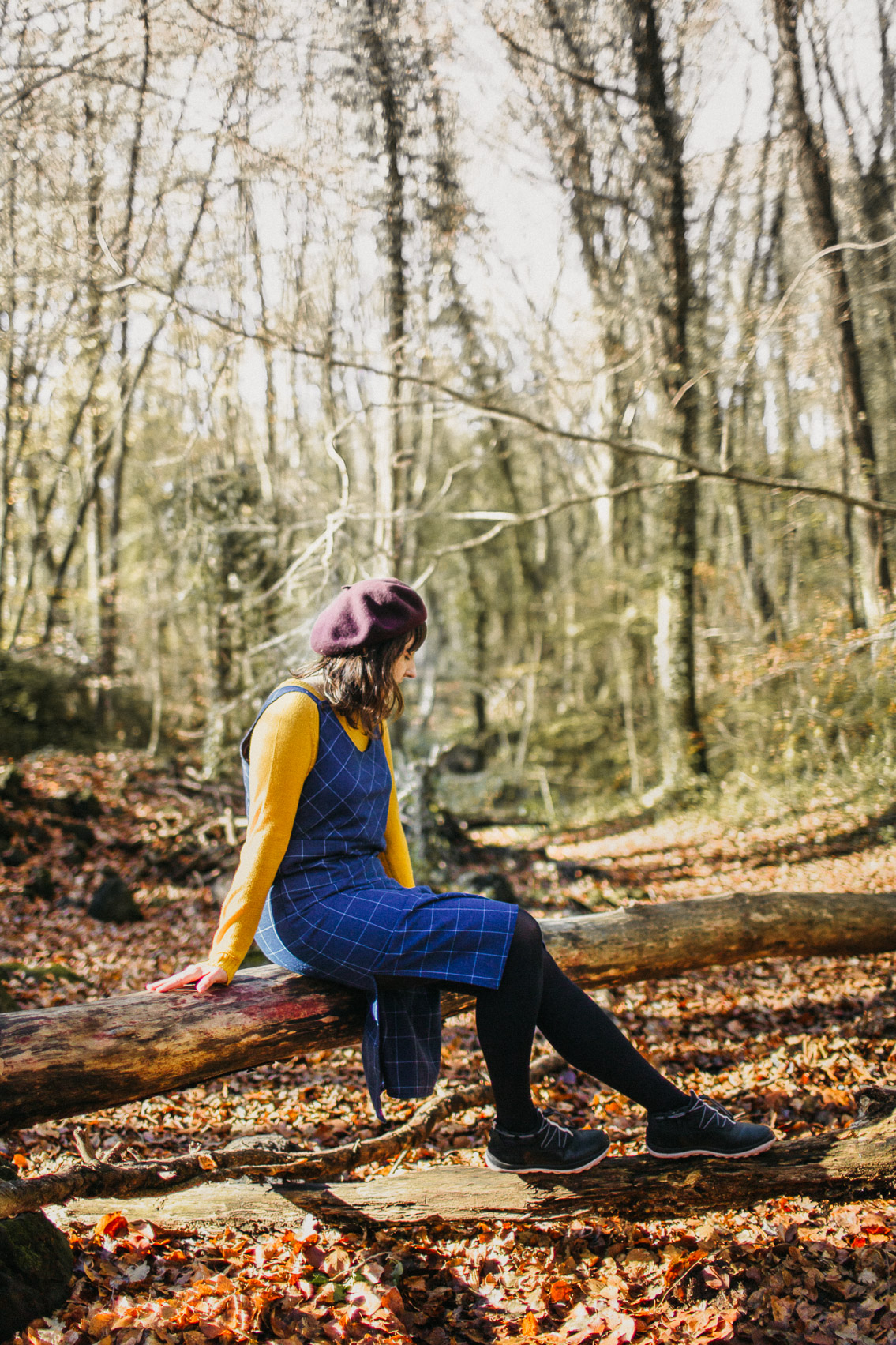 Fageda Olot Autumn colors - The cat, you and us