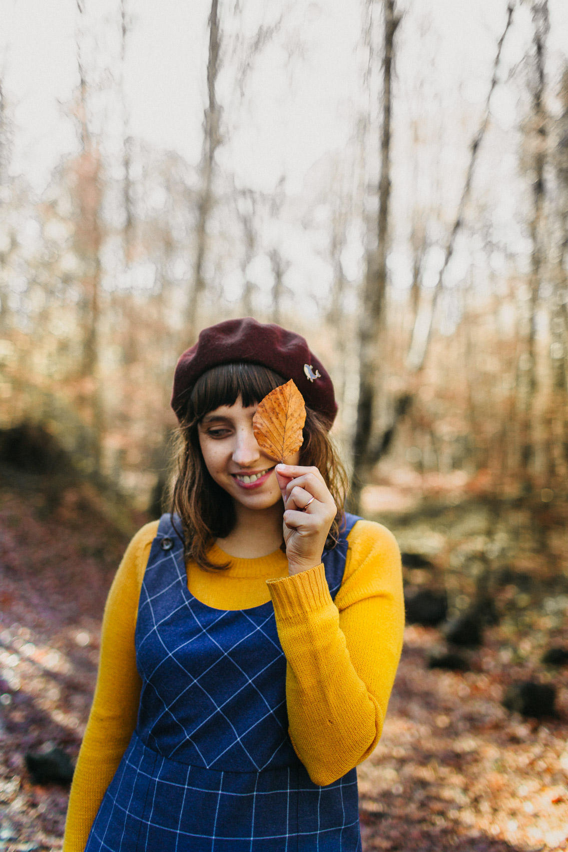 Fageda Olot Autumn colors - The cat, you and us