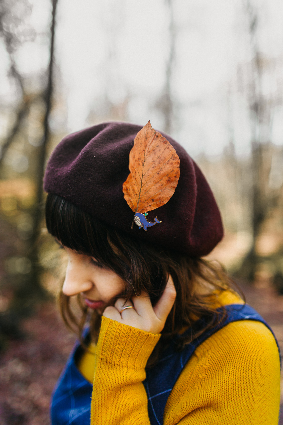 Fageda Olot Autumn colors - The cat, you and us