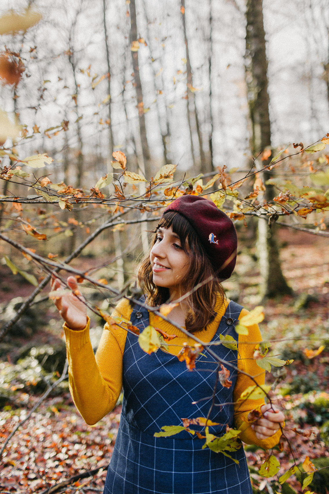 Fageda Olot Autumn colors - The cat, you and us