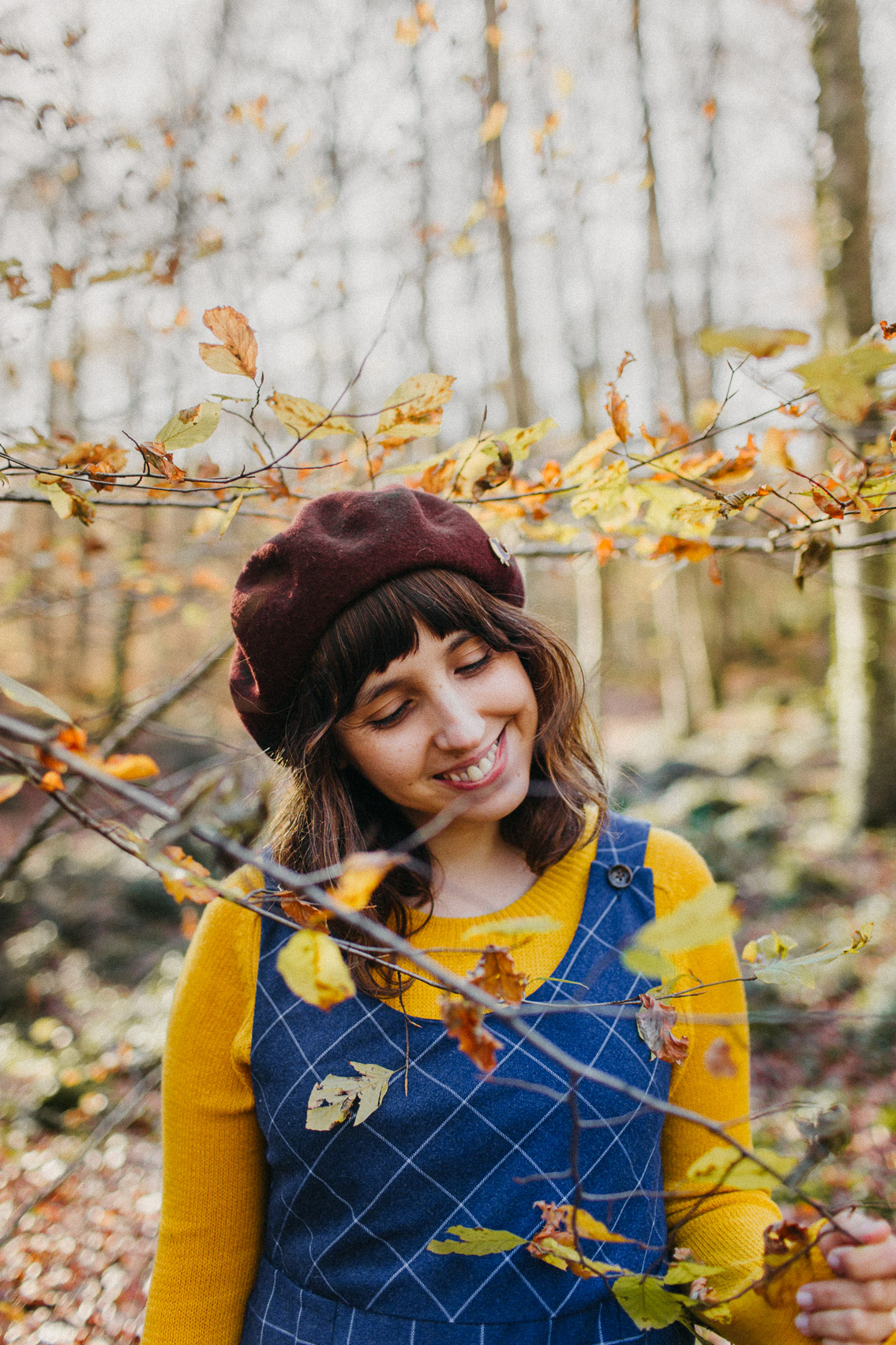 Fageda Olot Autumn colors - The cat, you and us