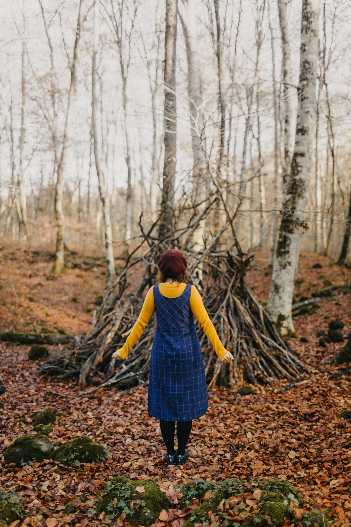 Fageda Olot Autumn colors - The cat, you and us