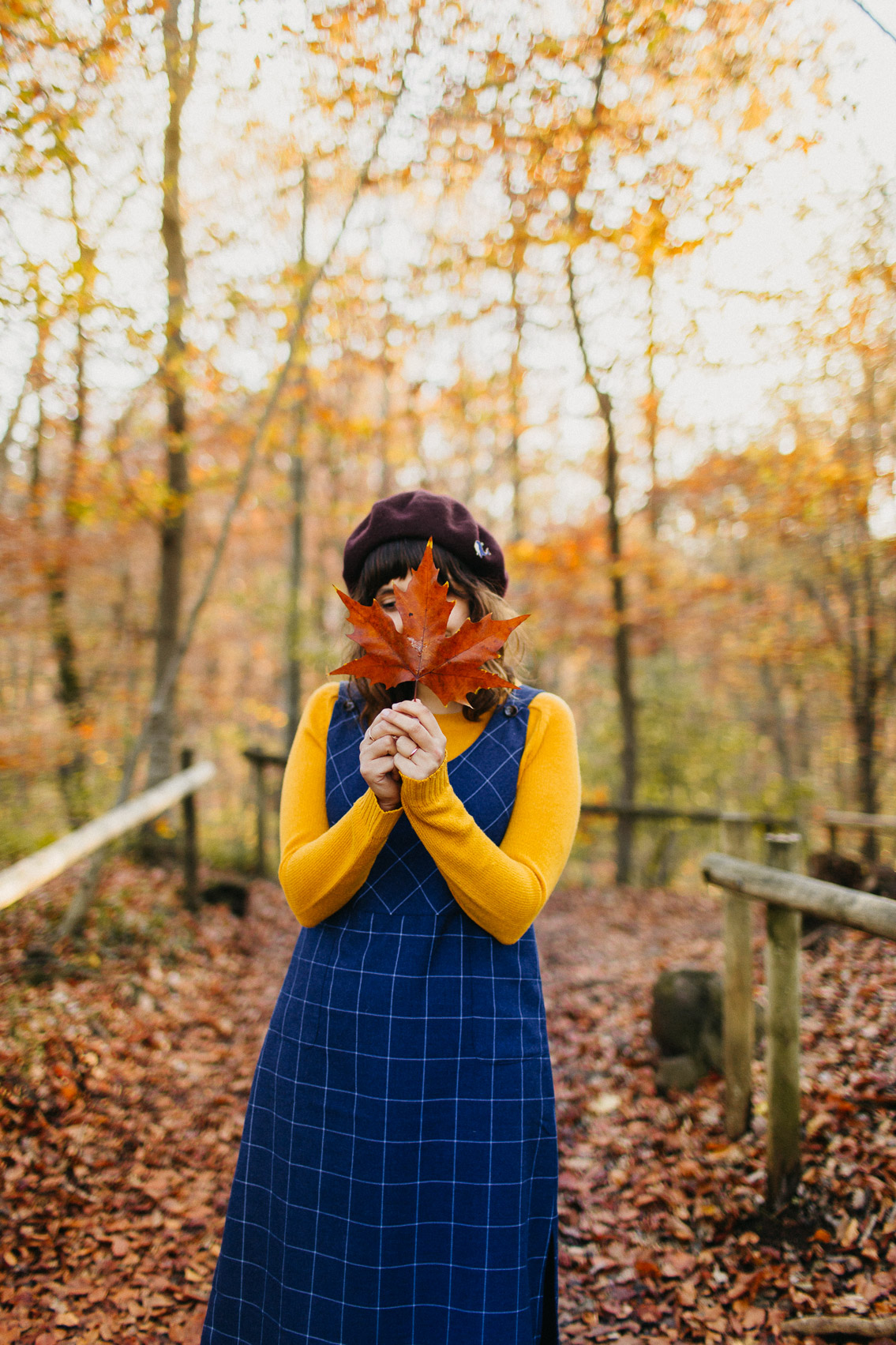 Fageda Olot Autumn colors - The cat, you and us