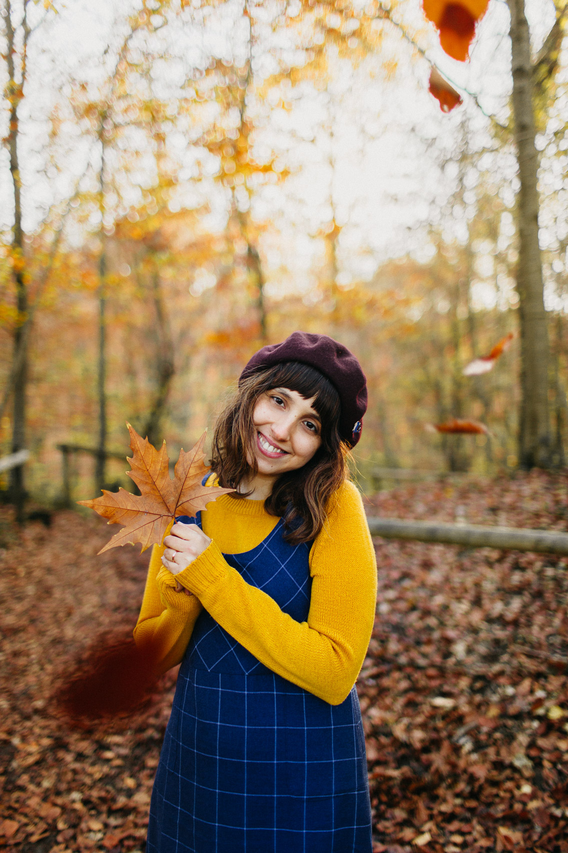 Fageda Olot Autumn colors - The cat, you and us